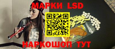 2c-b Кингисепп