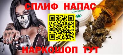 2c-b Кингисепп