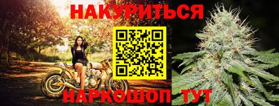 2c-b Кингисепп