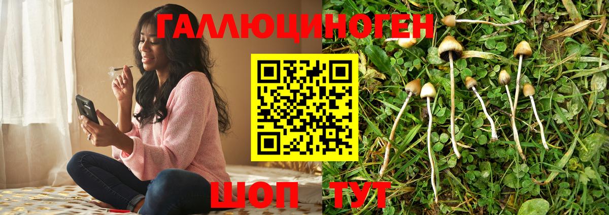 Псилоцибиновые грибы Cubensis  наркотики  Кудрово  Вход с VPN  Галлюциногенные грибы Psilocybine cubensis 