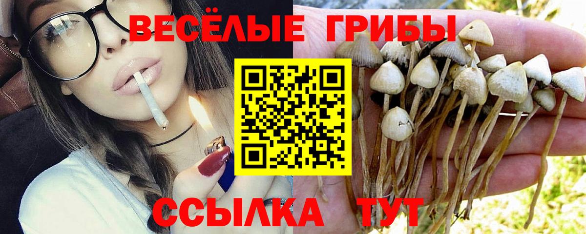 Галлюциногенные грибы мухоморы Кудрово