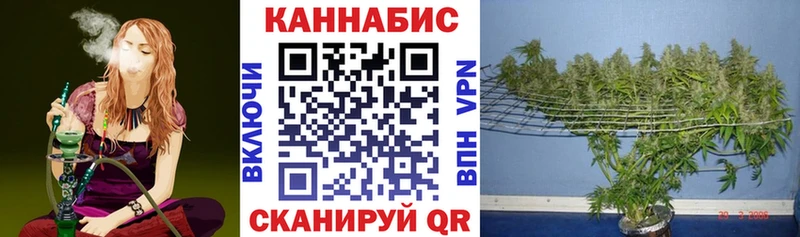 МАРИХУАНА SATIVA & INDICA  где можно купить   Кудрово 
